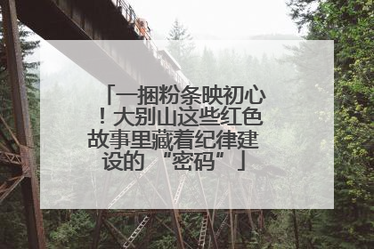 一捆粉条映初心！大别山这些红色故事里藏着纪律建设的 “密码”