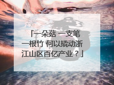 一朵菇 一支笔 一根竹 何以撬动浙江山区百亿产业？
