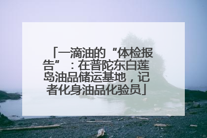一滴油的“体检报告”：在普陀东白莲岛油品储运基地，记者化身油品化验员