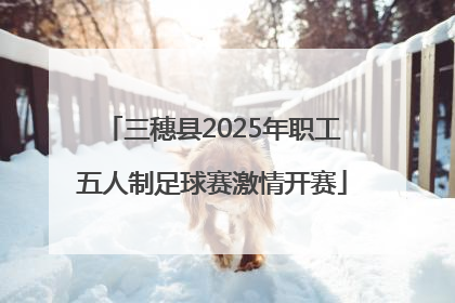 三穗县2025年职工五人制足球赛激情开赛