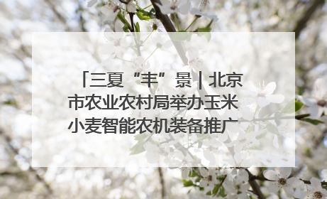 三夏“丰”景｜北京市农业农村局举办玉米小麦智能农机装备推广“田间日”活动