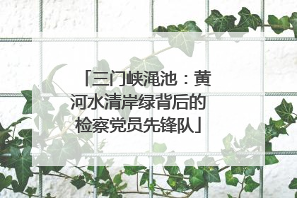 三门峡渑池：黄河水清岸绿背后的检察党员先锋队