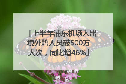 上半年浦东机场入出境外籍人员破500万人次，同比增46%