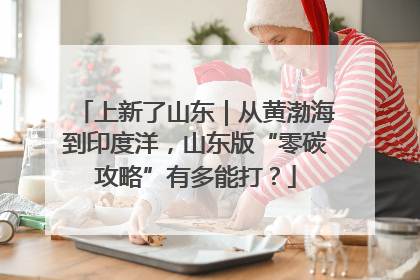 上新了山东｜从黄渤海到印度洋，山东版“零碳攻略”有多能打？