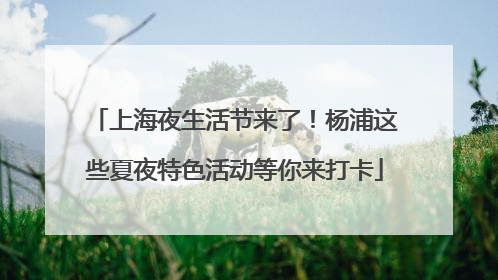 上海夜生活节来了！杨浦这些夏夜特色活动等你来打卡