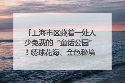 上海市区藏着一处人少免费的“童话公园”！绣球花海、金色秘境……地铁直达→