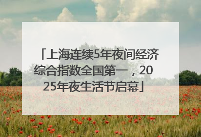 上海连续5年夜间经济综合指数全国第一，2025年夜生活节启幕