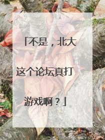 不是，北大这个论坛真打游戏啊？