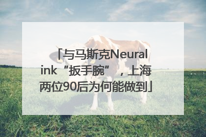 与马斯克Neuralink“扳手腕”，上海两位90后为何能做到