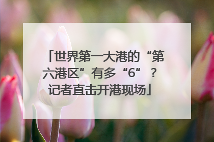 世界第一大港的“第六港区”有多“6”？记者直击开港现场