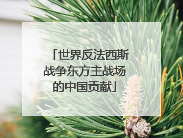 世界反法西斯战争东方主战场的中国贡献
