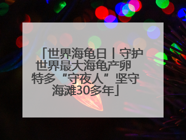 世界海龟日丨守护世界最大海龟产卵 特多“守夜人”坚守海滩30多年