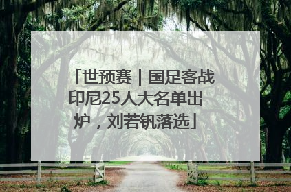 世预赛｜国足客战印尼25人大名单出炉，刘若钒落选