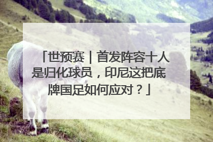 世预赛｜首发阵容十人是归化球员，印尼这把底牌国足如何应对？