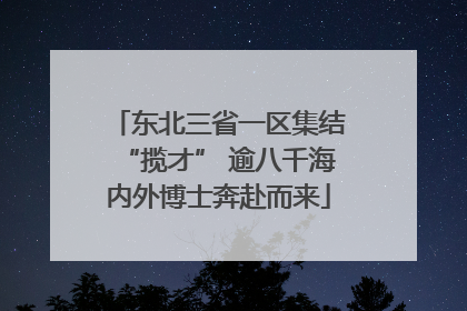 东北三省一区集结“揽才” 逾八千海内外博士奔赴而来