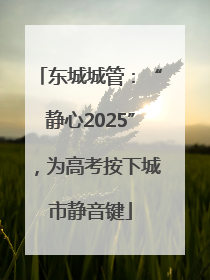 东城城管：“静心2025”，为高考按下城市静音键