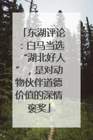 东湖评论：白马当选“湖北好人”，是对动物伙伴道德价值的深情褒奖