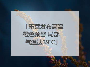 东营发布高温橙色预警 局部气温达39℃