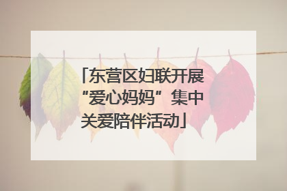东营区妇联开展“爱心妈妈”集中关爱陪伴活动