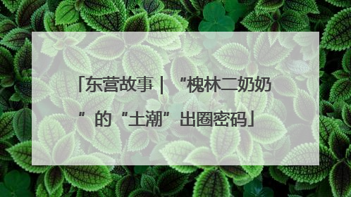东营故事｜“槐林二奶奶”的“土潮”出圈密码