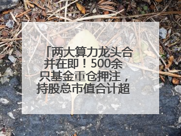 两大算力龙头合并在即！500余只基金重仓押注，持股总市值合计超380亿元