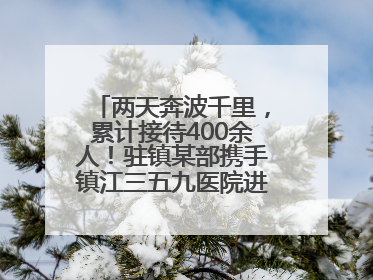 两天奔波千里，累计接待400余人！驻镇某部携手镇江三五九医院进村开展健康帮扶