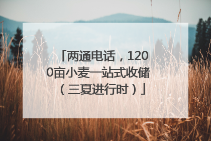 两通电话，1200亩小麦一站式收储（三夏进行时）