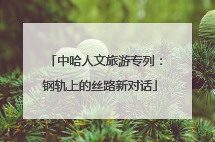 中哈人文旅游专列：钢轨上的丝路新对话
