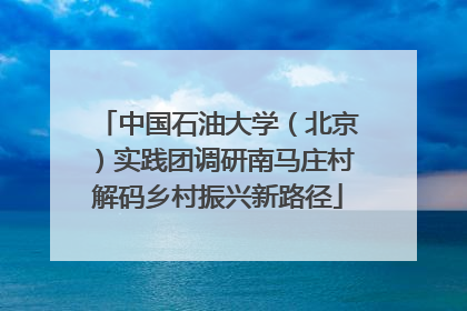 中国石油大学（北京）实践团调研南马庄村解码乡村振兴新路径
