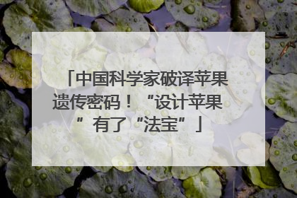 中国科学家破译苹果遗传密码！“设计苹果”有了“法宝”