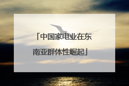中国家电业在东南亚群体性崛起