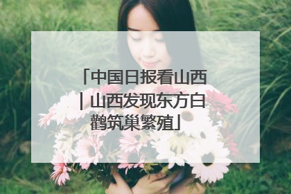 中国日报看山西｜山西发现东方白鹳筑巢繁殖