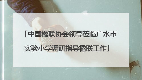 中国楹联协会领导莅临广水市实验小学调研指导楹联工作