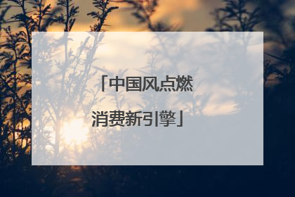 中国风点燃消费新引擎