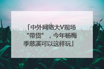 中外网络大V现场“带货”，今年杨梅季慈溪可以这样玩