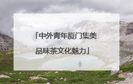 中外青年厦门集美品味茶文化魅力