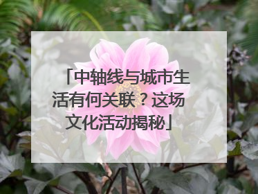 中轴线与城市生活有何关联？这场文化活动揭秘