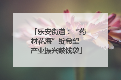 乐安街道：“药材花海”绽希望 产业振兴鼓钱袋