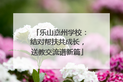 乐山嘉州学校：结对帮扶共成长，送教交流谱新篇