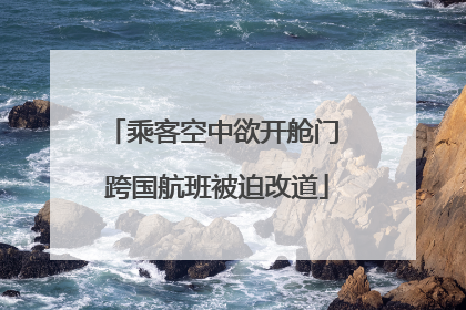 乘客空中欲开舱门 跨国航班被迫改道