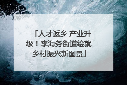 人才返乡 产业升级！李海务街道绘就乡村振兴新图景