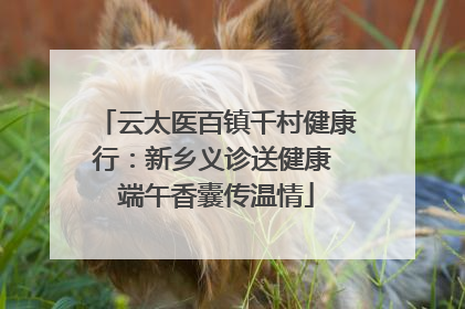 云太医百镇千村健康行：新乡义诊送健康 端午香囊传温情