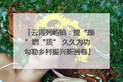 云霄列屿镇：提“颜”增“质” 久久为功勾勒乡村振兴新画卷