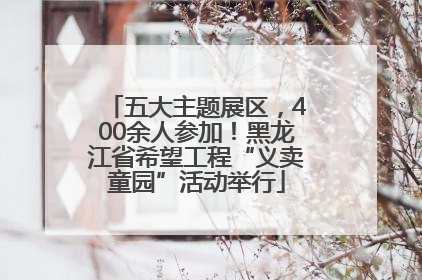 五大主题展区，400余人参加！黑龙江省希望工程“义卖童园”活动举行