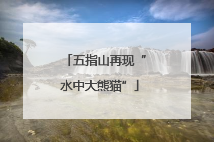 五指山再现“水中大熊猫”