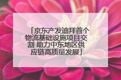 京东产发迪拜首个物流基础设施项目交割 助力中东地区供应链高质量发展