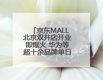京东MALL北京双井店开业即爆火 华为等超十余品牌单日销售额破百万