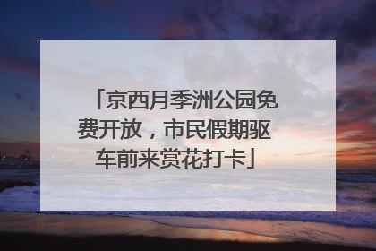 京西月季洲公园免费开放，市民假期驱车前来赏花打卡