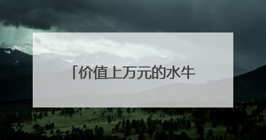 价值上万元的水牛不见了 民警用无人机发现其踪迹