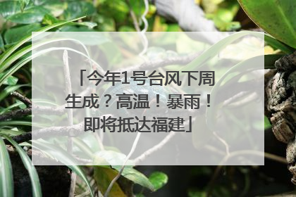今年1号台风下周生成？高温！暴雨！即将抵达福建
